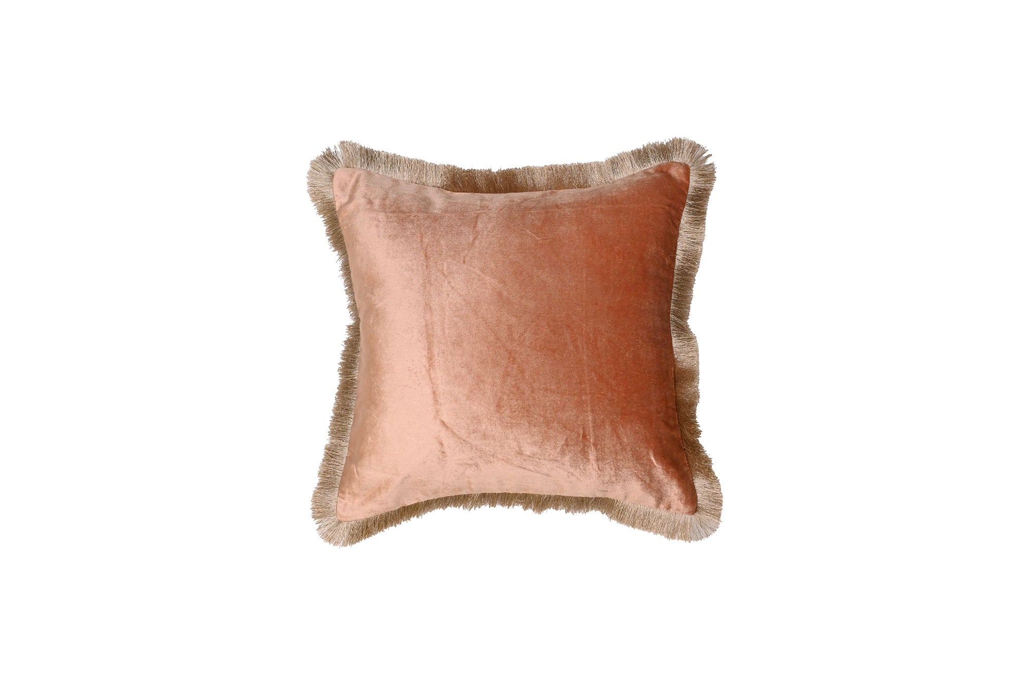 Blush Velvet Fringe Cushion